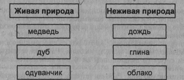 Покажи на схеме при помощи стрелок какое. Объекты природы заполнить схему. Схема для заполнения неживая природа. Заполните схему Живая и неживая природа. Выписать объекты природы.