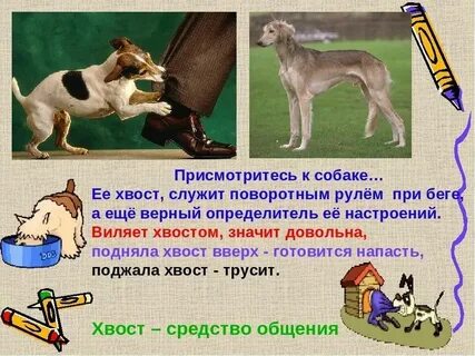 Какие повадки животных