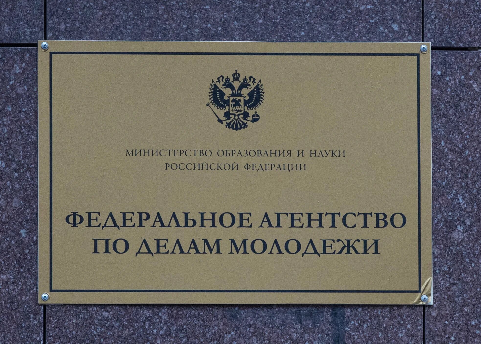 Федеральное агентство по делам молодёжи. Федеральные агентства России. Федеральные агентства картинки. Агентства РФ. Российское агентство рф