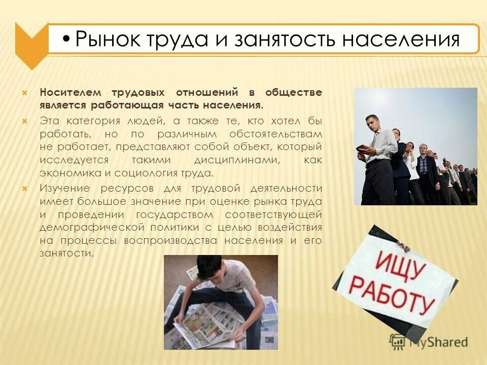 структура рынка труда. занятость и рынок труда предприятия. занятость и рынок труда предприятия. профессиональная группа людей. трудовых отношений ситуация.