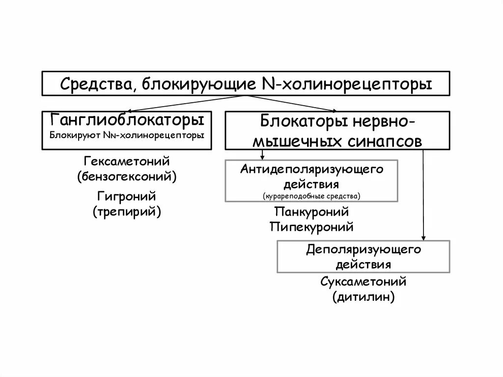 Средства блокирующие нервно мышечную передачу. Средства блокирующие холинорецепторы. блокаторами н-холинорецепторов скелетных мышц. блокаторы нервно мышечных синапсов.