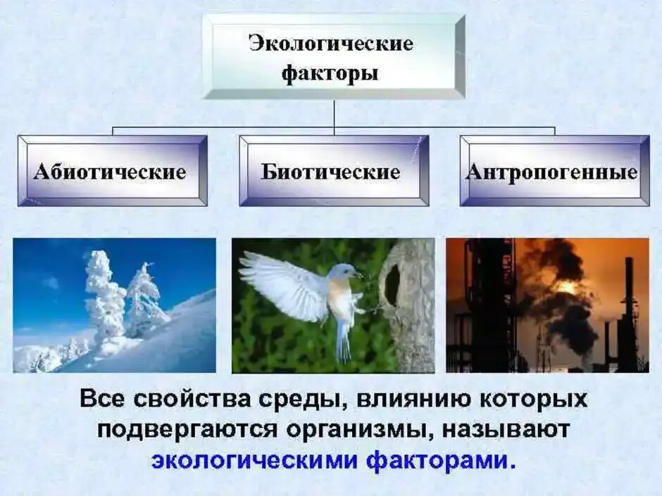 Перечислите биотические и антропогенные факторы. Абиотические факторы- это экологические факторы среды. Факторы среды абиотические биотические антропогенные. Биотические экологические факторы. Экологические факторы органической среды.