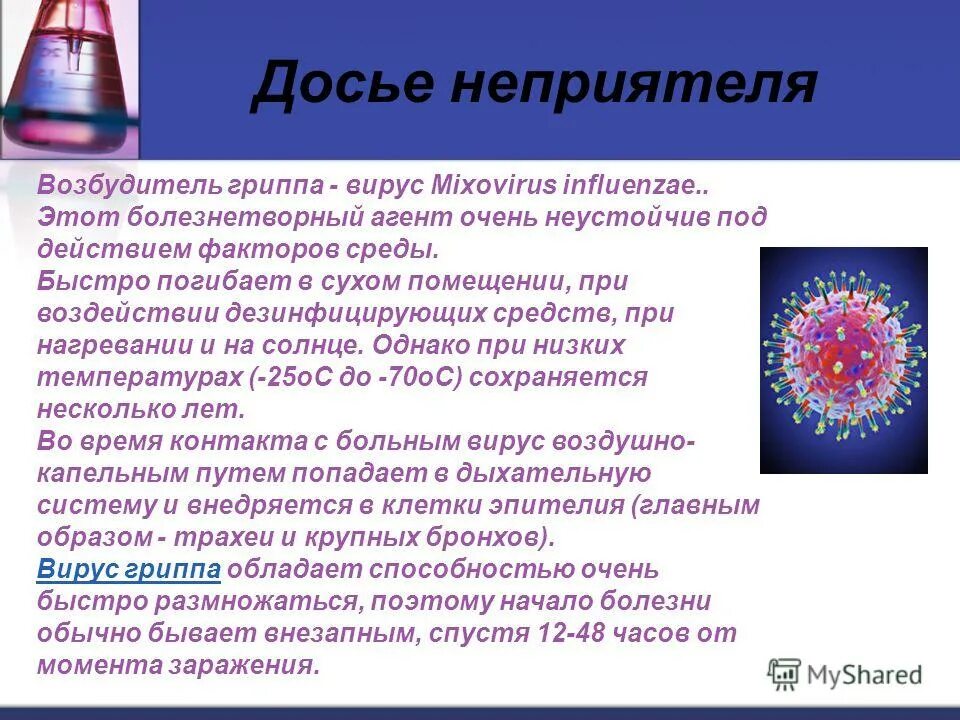 грипп возбудитель болезни. грипп возбудитель болезни. грипп возбудитель заболевания. возбудитель гриппа. птичий грипп возбудитель.