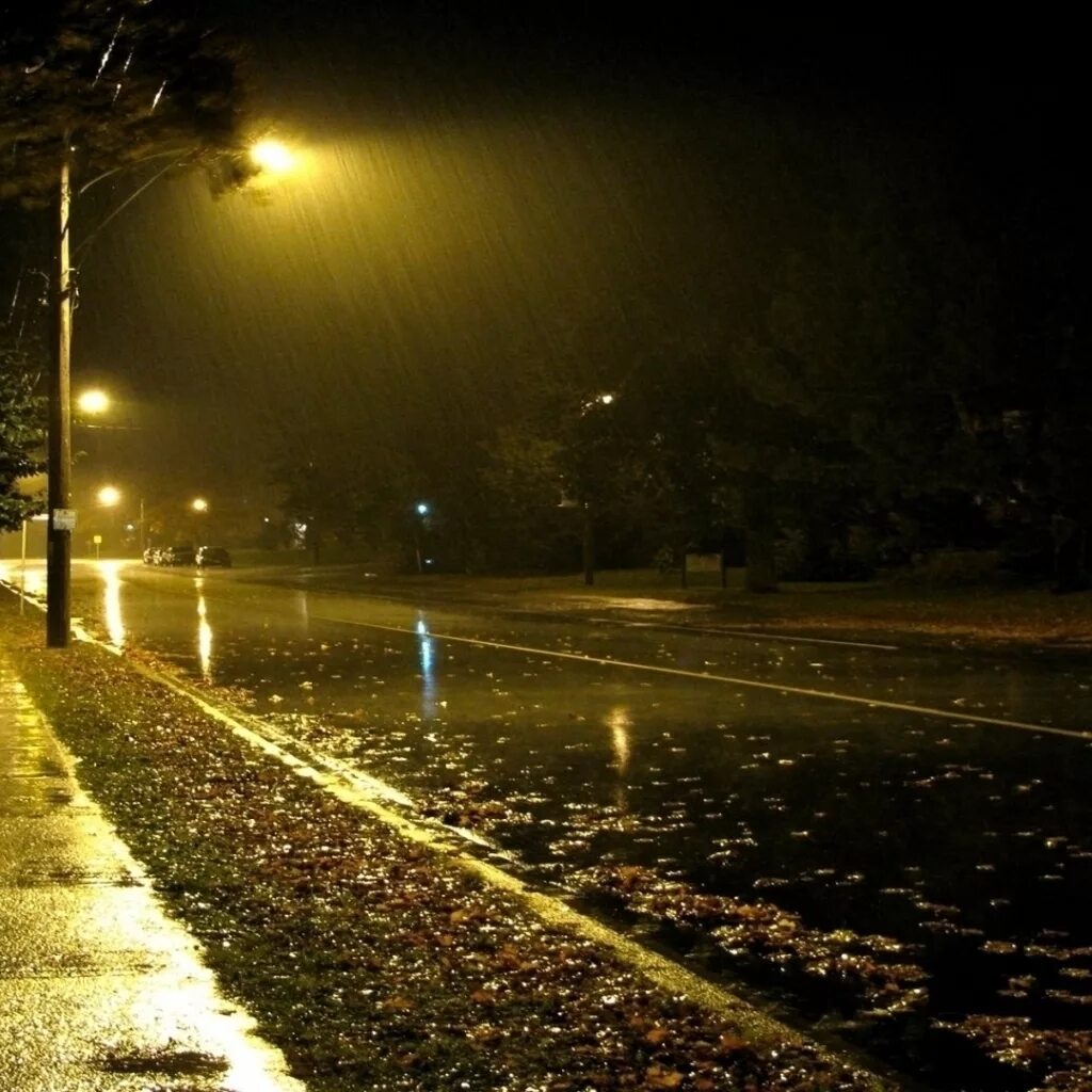 ночной дождь. ночью дождь приходит. ночной дождь. дождь ночью. ночью дождь приходит.