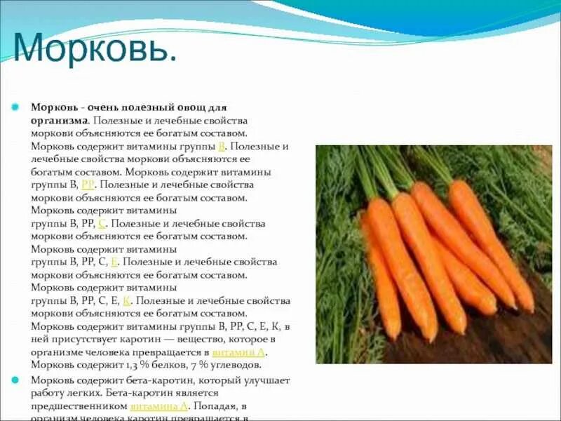Ест морковь. Полезные свойства овощей. Вред вареной моркови для организма. Вред вареной моркови для организма. Чем полезна морковь для организма.