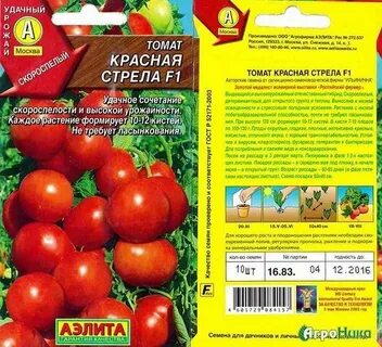 Томат красная стрела характеристика и отзывы