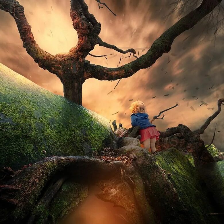 Lovely dreams. Карас Ионуц. Карас Йонут – румынский фотограф,. Карас Йонут картины. Румынский фотохудожник Карас Ионуц.