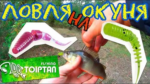 Окунь цвет силиконовой приманки