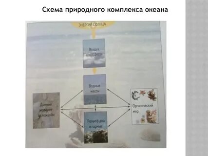 Чем меньше природный комплекс тем он ответ