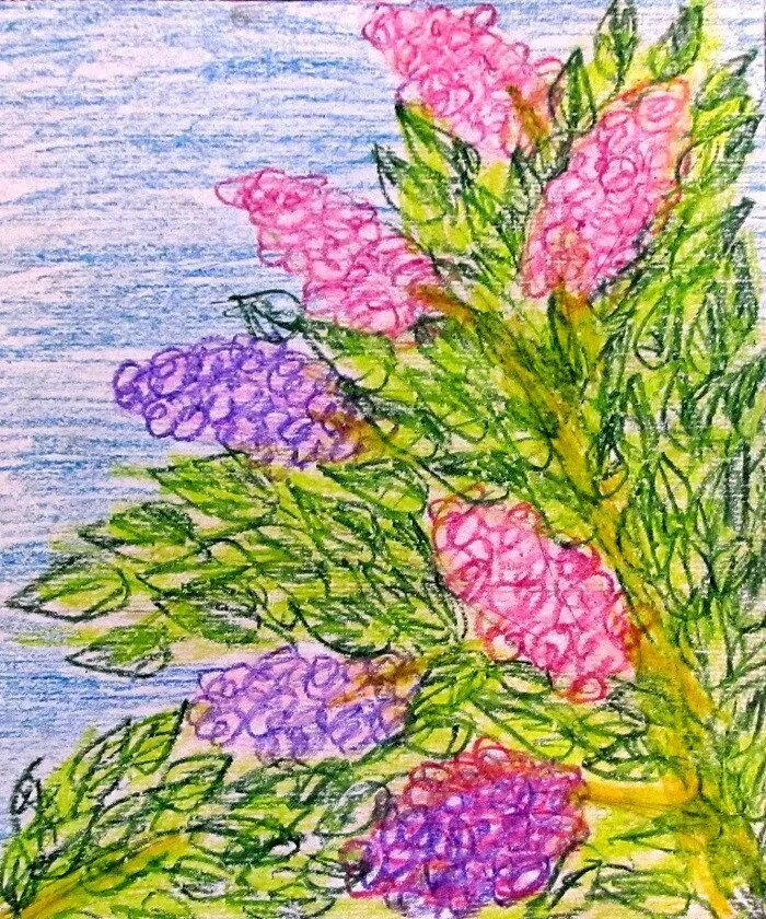 Рисунки восковыми. Цветы восковыми мелками. Рисунки восковыми мелками. Рисование восковыми мелками. Сирень цветными карандашами.