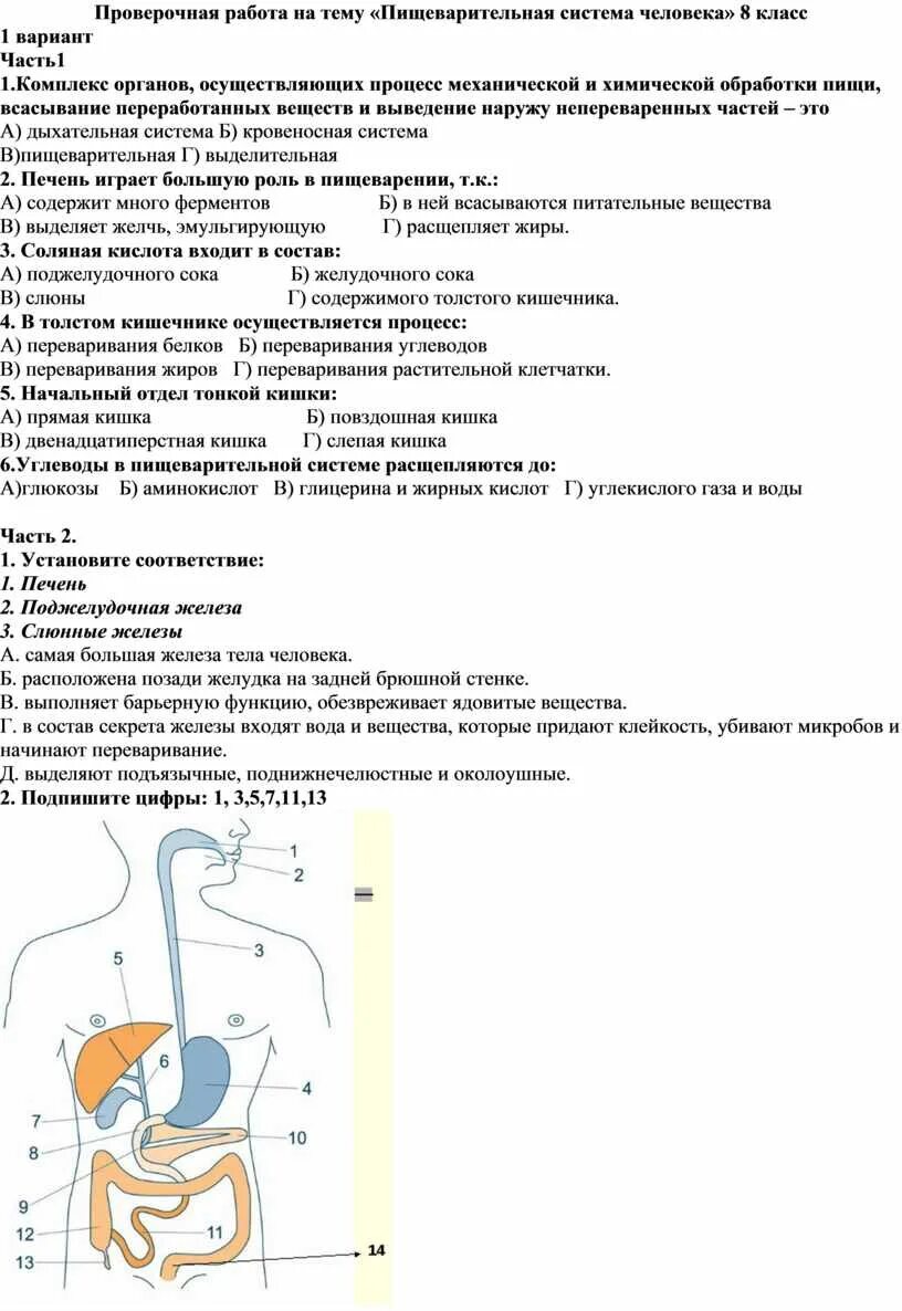 Контрольная работа на тему пищеварительная система. Пищеварительная система человека проверочная. Вопросы по теме пищеварение. Пищеварение 8 класс проверочные задания. Биология контрольная работа по теме пищеварительная система