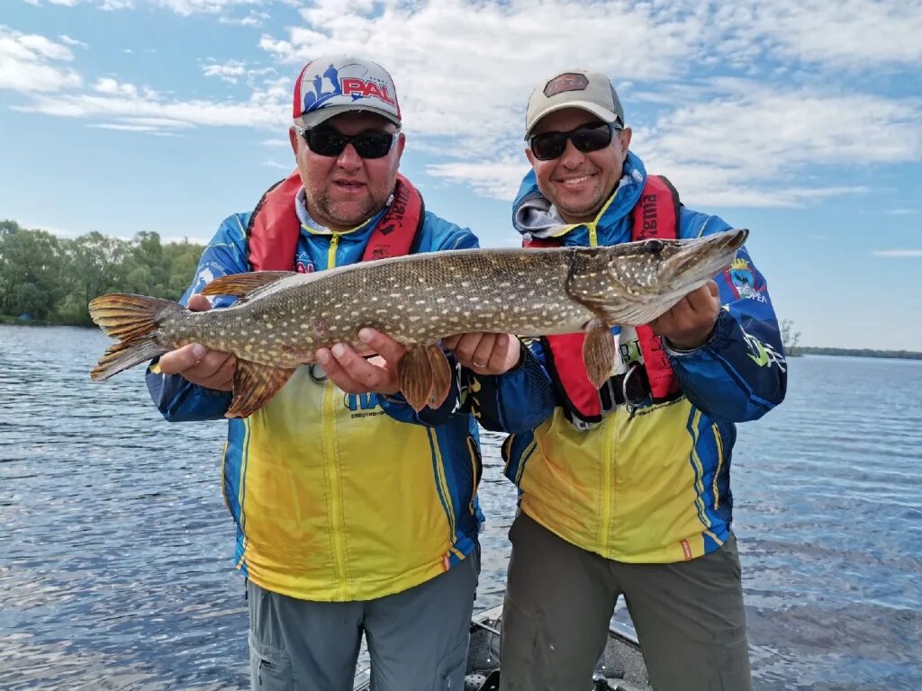 Пал рыболовный. Pal соревнования. Pal рыбалка. Pal Pro Anglers. Pro Anglers League 2022.