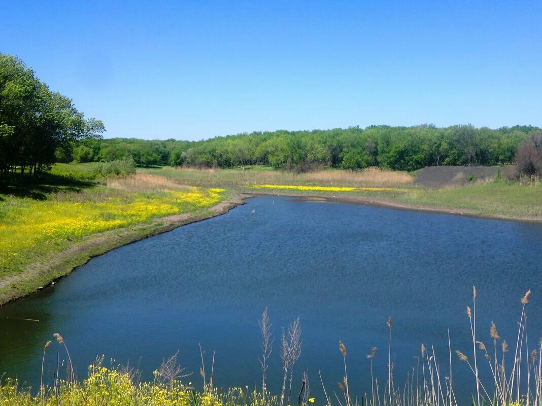 реки новошахтинск