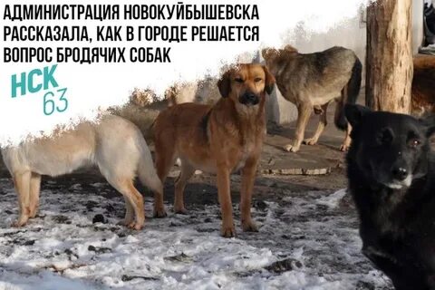 Ешь новокуйбышевск