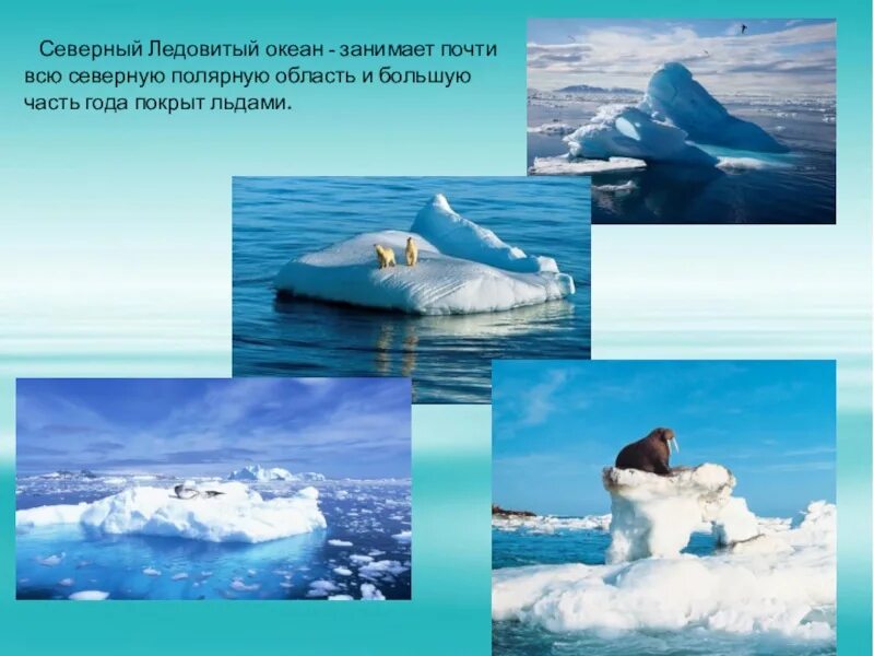 Северный Ледовитый океан информация. Описание Северного Ледовитого океана. Окружающий мир Северного Ледовитого океана. Презентация по Северному Ледовитому океану.