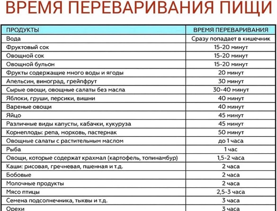 Плохо переваривается пища в желудке. Таблица переваривания пищи в желудке человека. Сроки переваривания продуктов в желудке. Сколько времени переваривается еда в желудке. Время переваривания продуктов в желудке человека таблица.