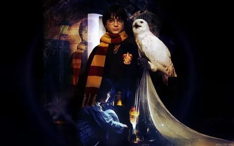 Potter show