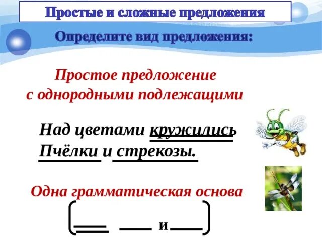 Предложение с однородными подлежащими. Простое предложение с однородными. Сложное предложение с однородными подлежащими. Простое предложение с однородными подлежащими. Распространенное предложение с 1 основой