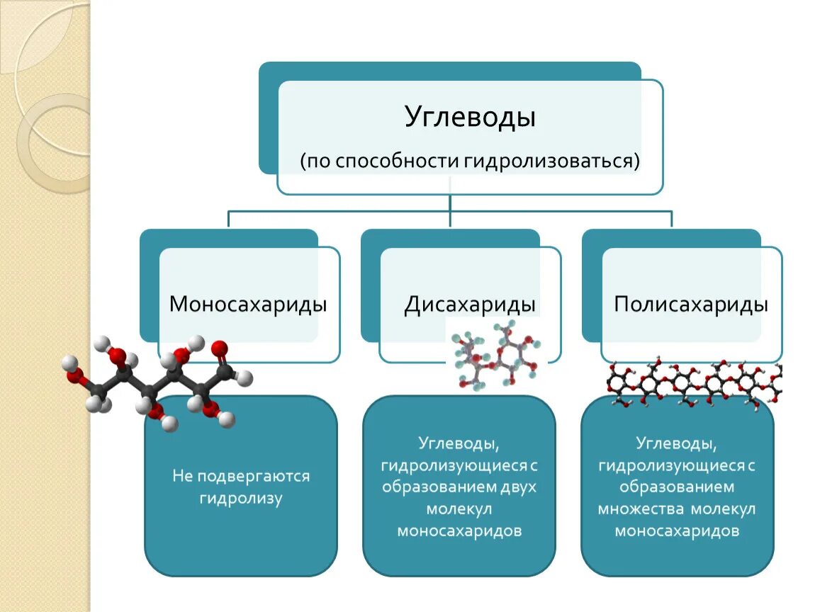 Углевод не подвергающийся гидролизу. Таблица моносахариды дисахариды полисахариды строение молекул. Углеводы которые гидролизуются. Углеводы не подвергающиеся гидролизу. Углеводы моносахариды дисахариды полисахариды.