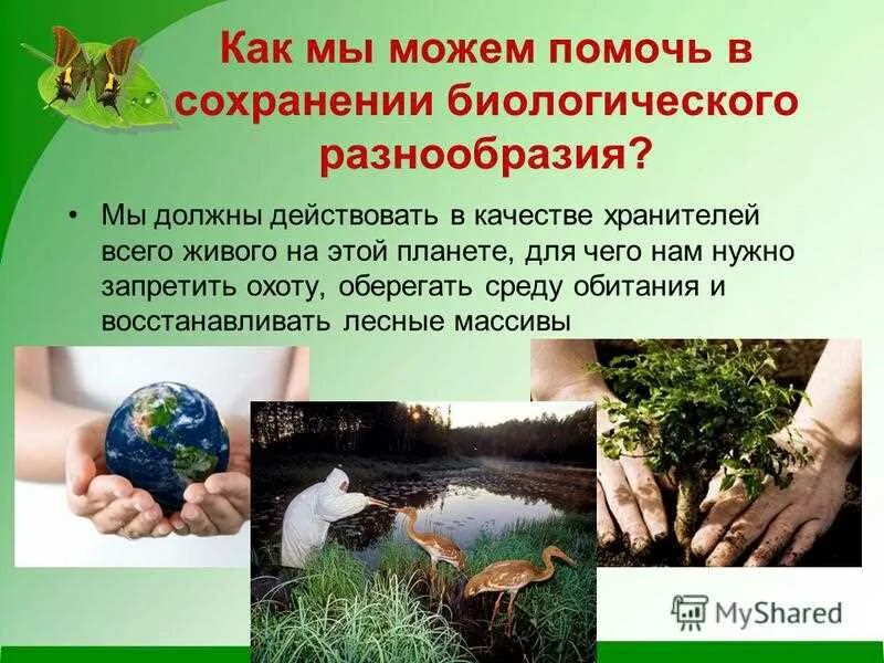 Наша задача сохранить многообразие на земле