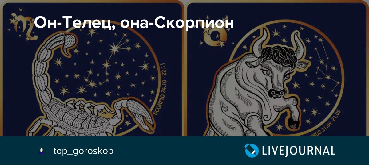 Он Телец она Скорпион. Телец она и Скорпион совместимость. Совместимость тельца и скорпиона. Овен и Скорпион совместимость в любви. Козерог и скорпион совместимость девушки