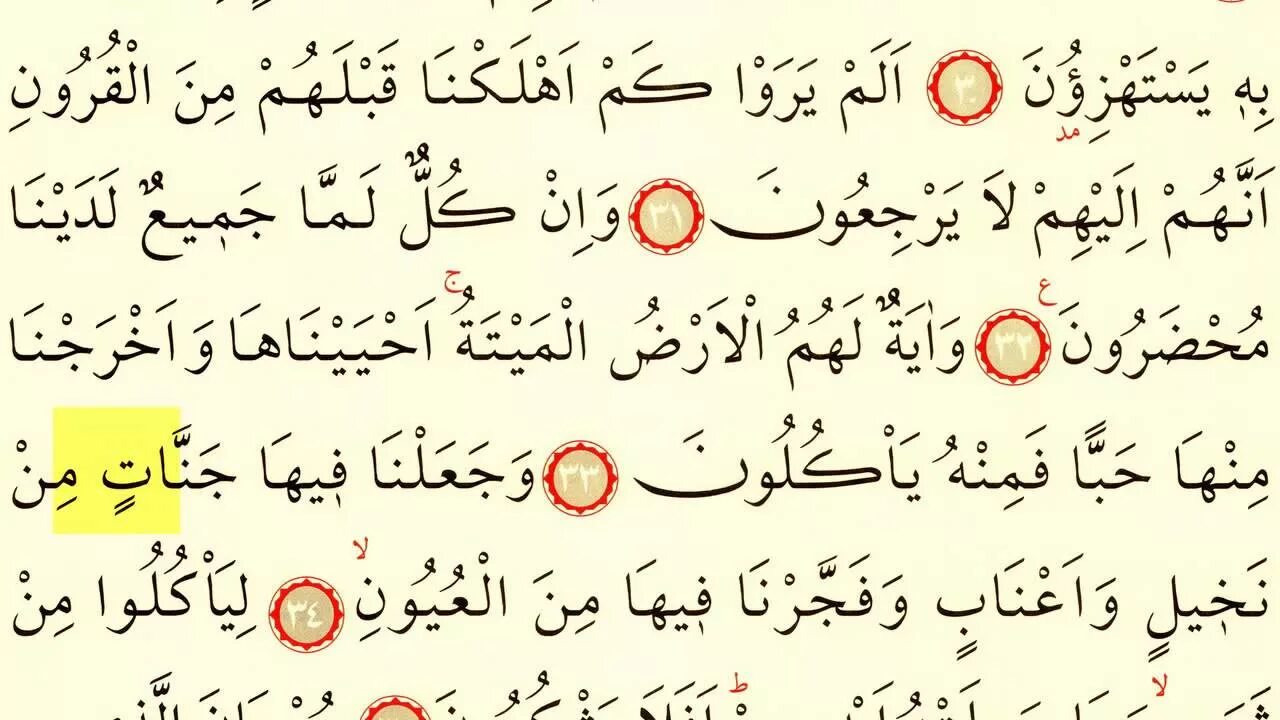 Чтецы корана арабы известные. Коран сура аль бакара. Аудио коран. Чтение корана на арабском языке слушать. Чтение корана на арабском языке слушать.