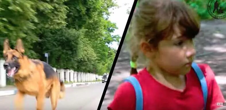 Спас девушку от хулиганов. Парень защищает девушку от хулиганов. Спас девушку от хулиганов. Девушка писает в переулке. Спас девушку от хулиганов.