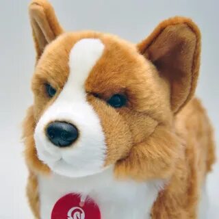 Мягкий корги