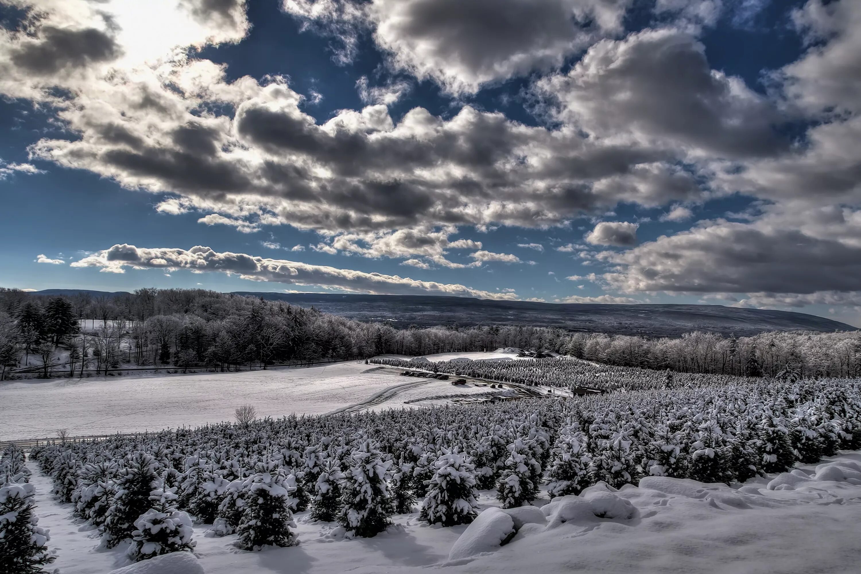 Snow sky