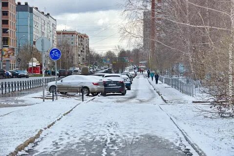 Погода в ижевске в ноябре 2024 года