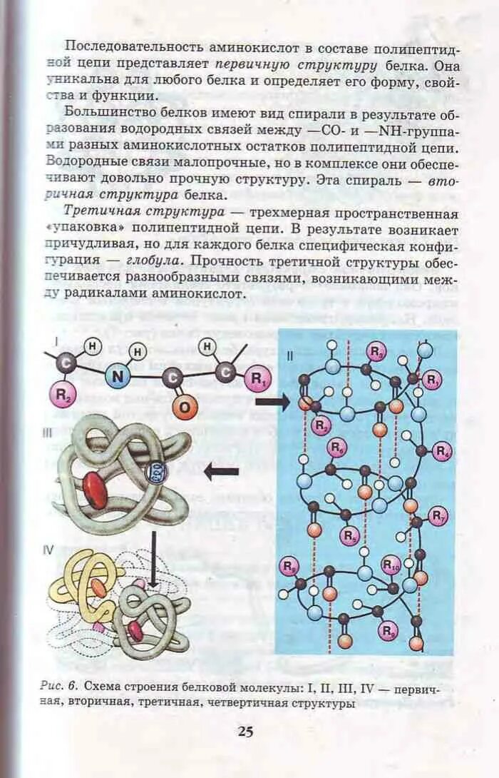 Биология 9 класс Каменский Криксунов Пасечник. Биология 9 кл Пасечник учебник. Биология 9 класс учебник Пасечник Каменский Швецов. Биология 9 класс учебник Пасечник Швецов. Биология 9 класс учебник конспекты