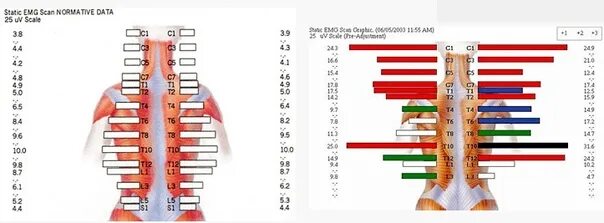 сколько шагов в день ходить. ходьба для похудения. норма ходьбы. 5 км ходьбы сколько сжигает калорий. сколько шагов в день надо проходить для здоровья женщине в 50 лет.