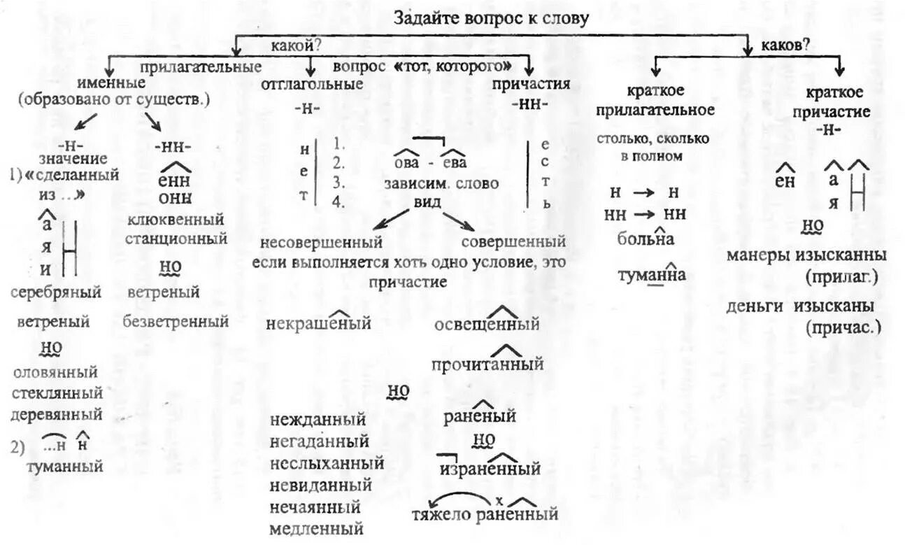 Правило н нн 8 класс. Н И НН В суффиксах разных частей речи 8 класс. Алгоритм правописания н и НН В разных частях речи. Схема алгоритма н и НН В разных частях речи. Схема н и НН В суффиксах прилагательных.