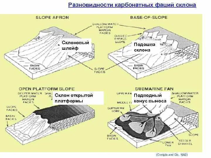 Подошвы склонов. Шлейф склона. Турбидиты в геологии это. Строение конуса выноса фации. Склон карбонатной платформы.