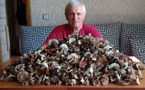 Сдать лисички