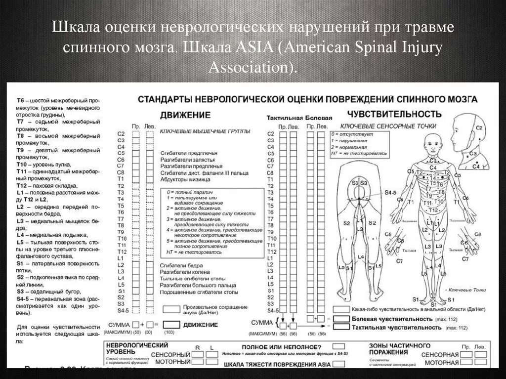 Стандарты неврологической оценки повреждений спинного мозга. Шкала неврологической оценки повреждений спинного мозга. Шкала Asia неврология. Шкала оценки нарушения функций спинного мозга (Frankel).