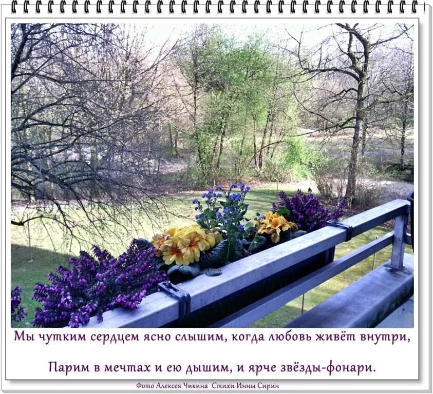 Ясно видеть ясно слышать. Ясно видеть ясно слышать