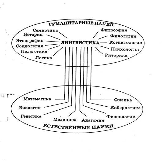 Филологическая научная дисциплина