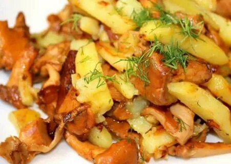 Вкусно пожарить лисички с картошкой на сковороде