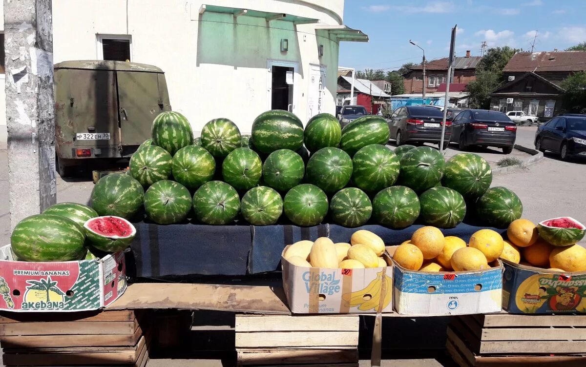 Арбуз купить рынок. Астраханские бахчи с арбузами. Бахча с арбузами в Астрахани. Арбуз Астраханский в Хилокский рынок. Арбузная бахча Астрахань.