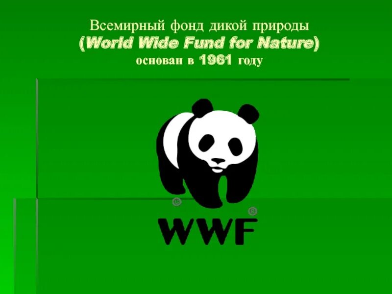 The world wildlife fund is an organization. Всемирный фонд дикой природы WWF России. ВВФ фонд дикой природы. Всемирный фонд дикой природы эмблема. Панда Всемирная организация.