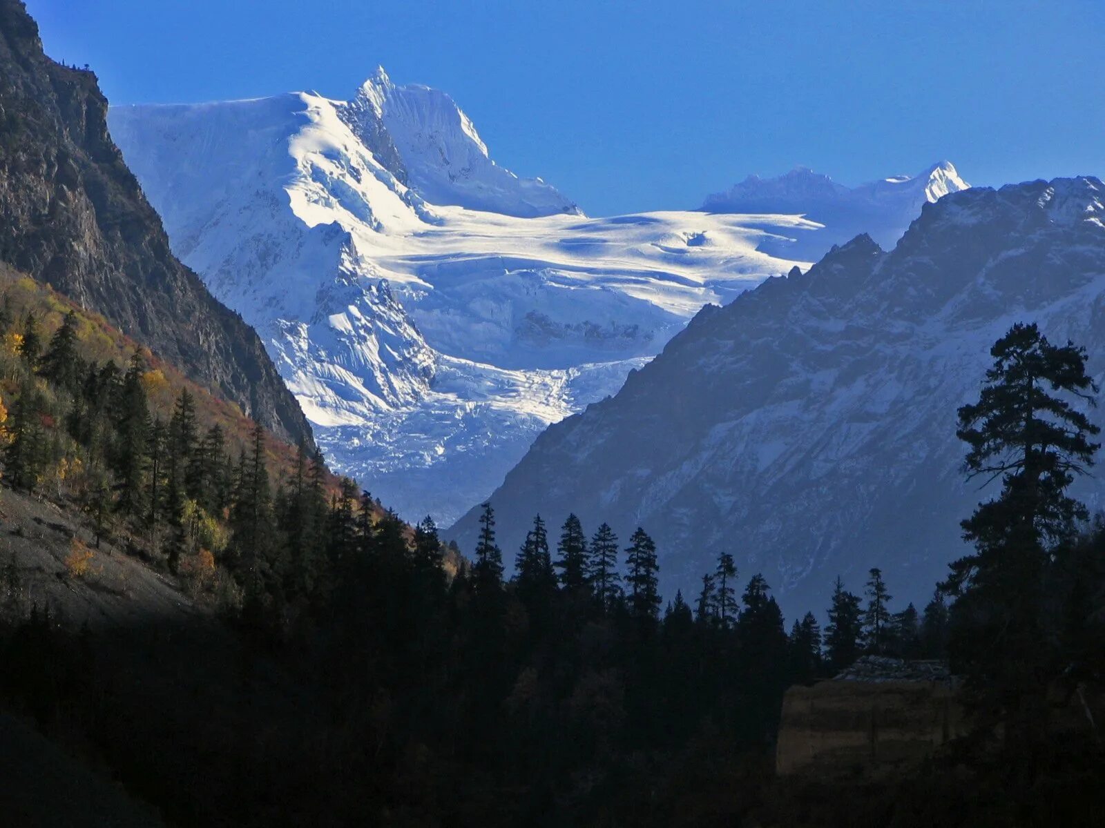 Как называется самая высокая горная цепь евразии. Горы Гималаи в Евразии. Материк Евразия горы Гималаи. Горные леса Гималаи. Горы на материке Евразия.