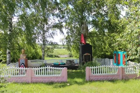 Село дроновка