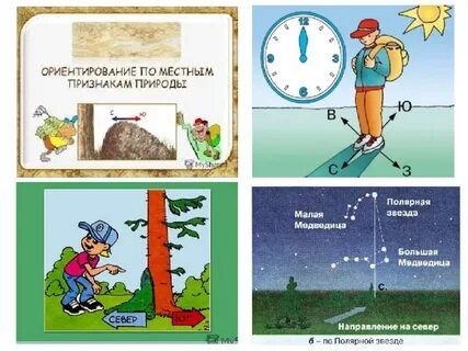 Ориентирование на местности окружающий мир рабочая тетрадь
