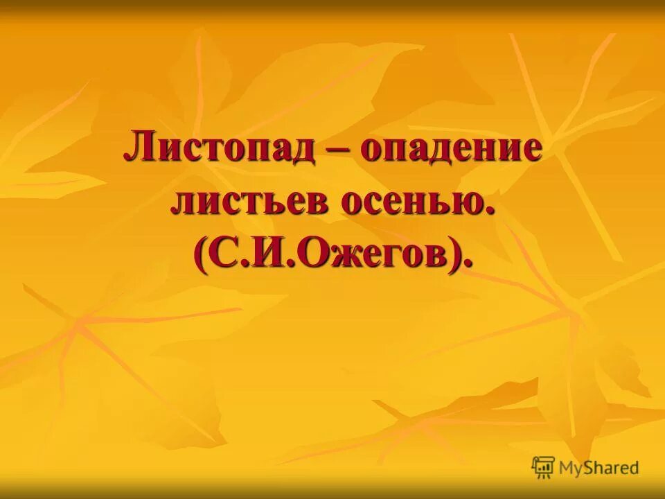 Осенние названия отрядов. Листопад по английски. Осенние явления для детей. Осенние названия команд. Листопад по английски.