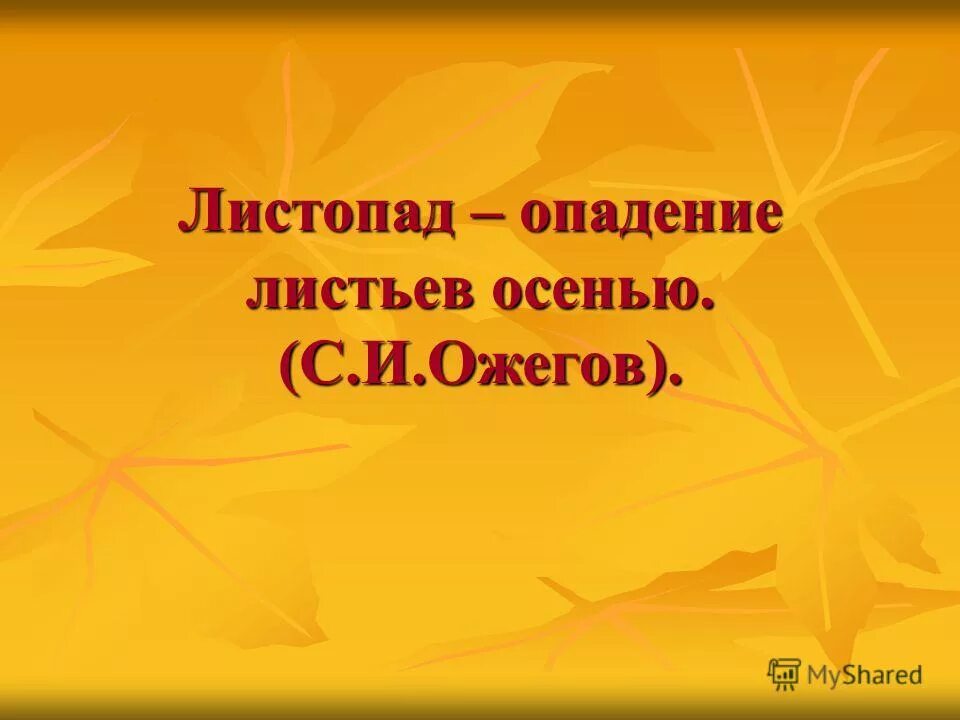 Листопад урок 6 класс. Листопад 4 класс литературное чтение. Бунин листопад 4 класс презентация школа России. Осенние листья глаголы. Листопад 4 класс литературное чтение рабочий лист.