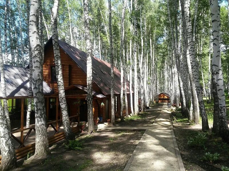 Турбазар. Тербунское Лукоморье база. Турбаза Тербунское Лукоморье. Лукоморье база отдыха Липецк. База отдыха Лукоморье Тербуны.