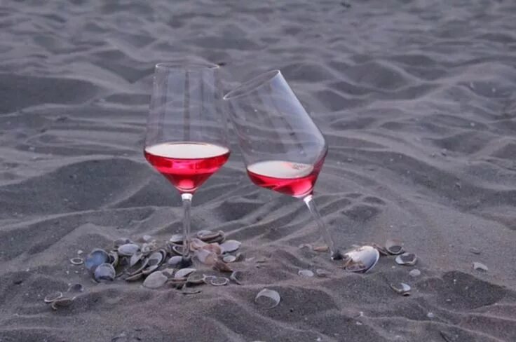 Worth Fighting For Wine photography, Wine, Beach photography
