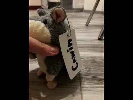 Хомяк поет песню