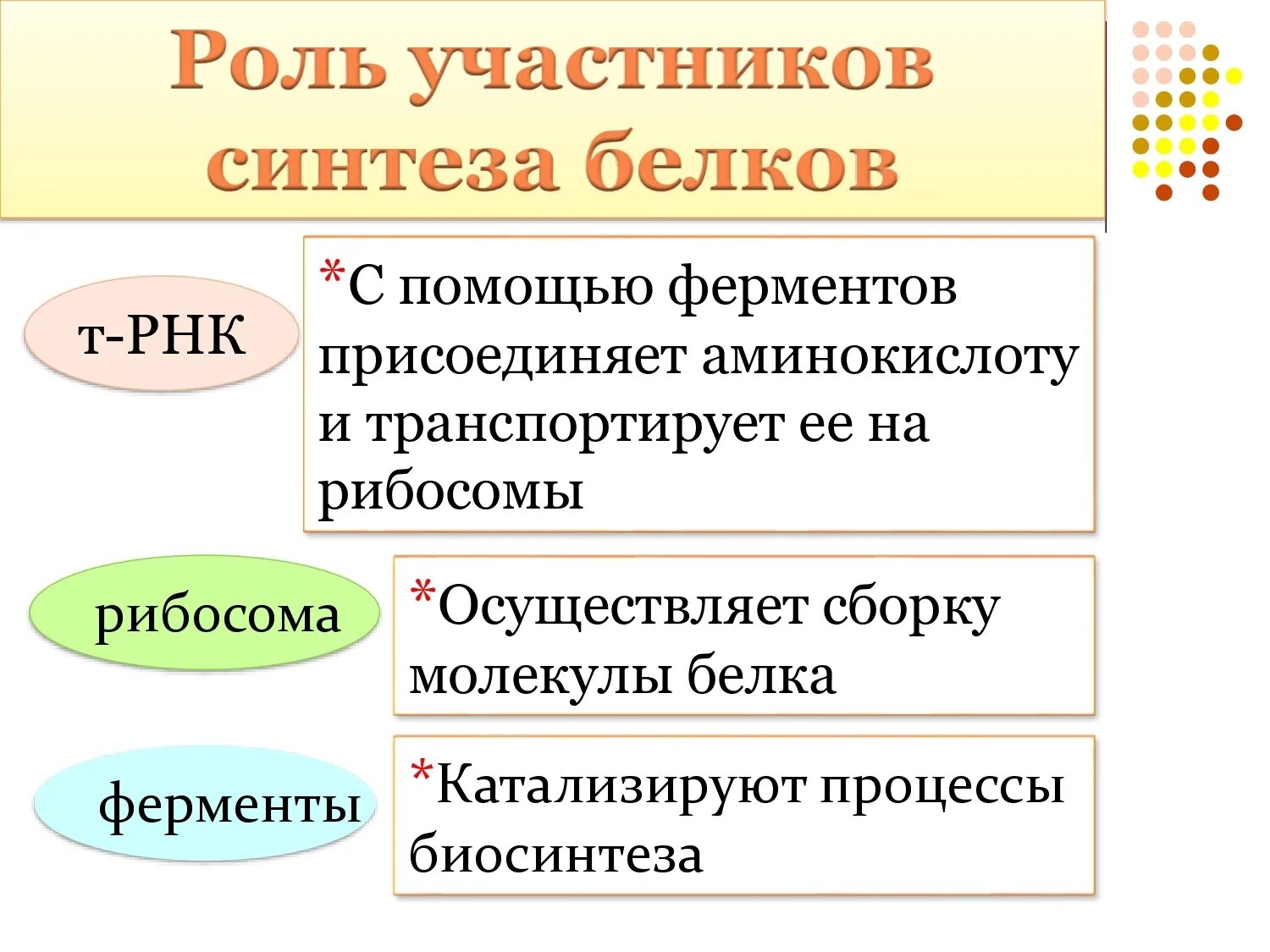 Роль участников синтеза белка. Роли участников. Роль участников биосинтеза белка. Процесс синтеза белков.